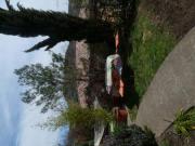 Location de particuliers � particuliers LOUE CHAMBRE D HOTES � 35 mn des gorges de l�Ard�che Chambres d'hotes Ard�che photo 2