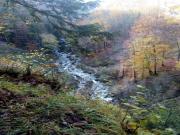 Location de particuliers � particuliers Maison 85 m� � 200m�tres du lac d'Ilay/coeur de la r�gion des lacs Location saisonni�re Jura photo 10