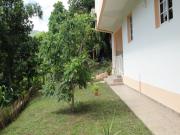 Location de particuliers � particuliers Appartement neuf de 50 m� � deshaies � 5 mn de la plage Location saisonni�re Guadeloupe photo 7