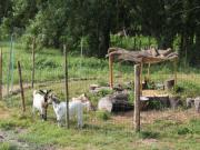 Location de particuliers � particuliers Les chambres d'hotes de l'olivet,au coeur des chateaux de la loire,proche zoo de beauval Chambres d'hotes Loir et Cher photo 11