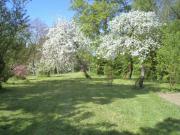 Location de particuliers � particuliers Les chambres d'hotes de l'olivet,au coeur des chateaux de la loire,proche zoo de beauval Chambres d'hotes Loir et Cher photo 3
