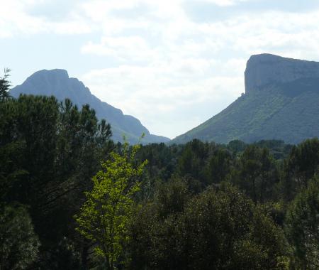 Location de particuliers � particuliers Bed and Breakfast Pic Sint Loup VALFLAUNES, de arri�re pays Montpeli�rain Chambres d'hotes H�rault