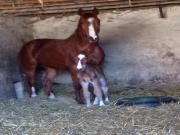 Location de particuliers � particuliers VUE SUR LA CAMPAGNE Location saisonni�re C�te d'or photo 6