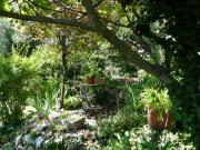 Location de particuliers � particuliers Loue chambre d' hote, hauteurs d'Aubenas, vue d' exception Chambres d'hotes Ard�che photo 5