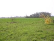 Location de particuliers � particuliers Chambre dans maison tr�s bon confort Colocation de vacances Haute garonne photo 3