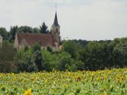Location de particuliers � particuliers La Grange de F�licie, � quelques kilom�tres de Route Grands crus de Bourgogne Chambres d'hotes C�te d'or photo 11