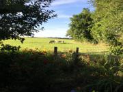 Location de particuliers � particuliers La Grange de F�licie, � quelques kilom�tres de Route Grands crus de Bourgogne Chambres d'hotes C�te d'or photo 12