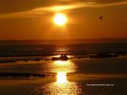Location de particuliers � particuliers location saisonni�re ou G�te proche mer et plages Location saisonni�re Vend�e photo 11