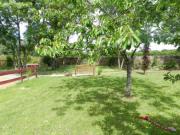 Location de particuliers � particuliers GITE dans le sud de la VEND�E AVEC PISCINE 