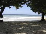 Location de particuliers � particuliers BUNGALOWS KOKIYAJ A 2 MINUTES DE LA PLAGE Location saisonni�re Martinique photo 10