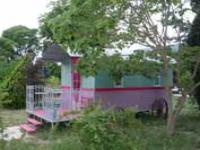 Location de particuliers � particuliers Grand mas a louer � 25 minutes de Montpellier  G�te H�rault photo 10