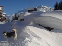 Location de particuliers � particuliers Location d'un appartement au ski � AVORIAZ Location saisonni�re Haute Savoie photo 9
