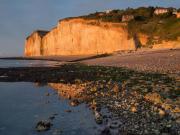 Location de particuliers � particuliers A 50m de la mer etretat-fecamp-st Val�ry en caux G�te Seine Maritime photo 10