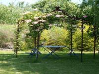 Location de particuliers � particuliers Jardin d'antan avec vue panoramique sur les vignes et montagne Chambres d'hotes Vaucluse photo 8