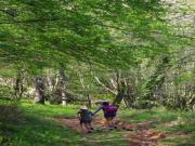 Location de particuliers � particuliers Refuge Moulin de la Palette sur le GR10 dans le 66 G�te d'�tape Pyr�n�es Orientales photo 5