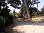 Location de particuliers � particuliers Maison individuelle entre mer et colinne G�te Bouches du rh�ne photo 4