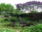 Location de particuliers � particuliers Chambre d'h�te 