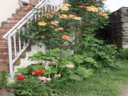 Location de particuliers � particuliers Vacances � la ferme biologique Entre vignes et moulins Chambres d'hotes Maine et Loire photo 3