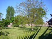 Location de particuliers � particuliers La Cense H�bron, cadre paisible et agr�able Chambres d'hotes Pas de Calais photo 3