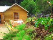 Location g�te, chambres d'hotes Chambre et Table d'H&ocirc;tes Chez Dany &agrave; Grand Bassin dans le d�partement R�union 974