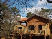 Location de particuliers � particuliers La cabane au bord du lac de Biscarrosse Chambres d'hotes Landes photo 14