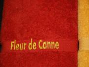 Location de particuliers � particuliers FLEUR DE CANNE c�te ouest de l'�le Location saisonni�re R�union photo 9