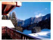 Location de particuliers � particuliers Chalet neuf Morzine Avoriaz et Chatel Chalet Haute Savoie photo 7