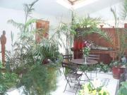 Location de particuliers � particuliers Maisonnette de charme en plein centre ville, � 200 m des trams et des bus G�te Puy de D�me photo 9