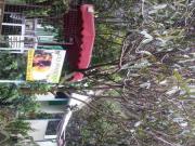 Location de particuliers � particuliers Les Hibiscus � Grand Bassin G�te R�union photo 3