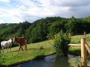 Location de particuliers � particuliers L'espace champ�tre, site d'exception au c�ur de la nature Chambres d'hotes Corr�ze photo 7