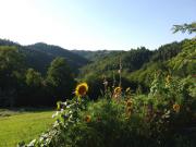 Location de particuliers � particuliers L'espace champ�tre, site d'exception au c�ur de la nature Chambres d'hotes Corr�ze photo 8