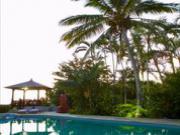 Location de particuliers � particuliers Studio suite de luxe dans grande propri�t� au coeur du Sud sauvage, terrasse sur l oc�an Location saisonni�re R�union photo 7