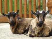 Location de particuliers � particuliers GITES NORMANDIE PLAGES DU DEBARQUEMENT G�te Calvados photo 13