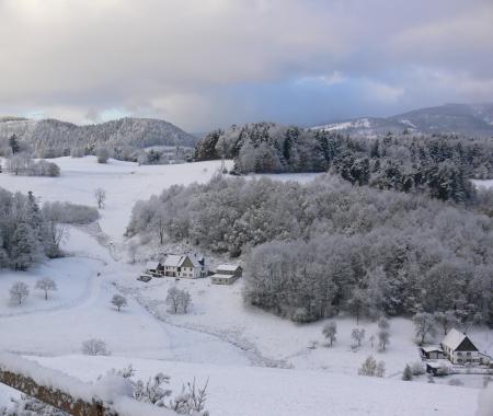 Location de particuliers � particuliers La sapini�re - Calme - Vue sur la montagne massif des hautes Vosges Location saisonni�re Haut Rhin