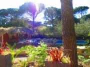 Location de particuliers � particuliers La Bastide des Pins: maison d'h�tes sous les pins et avec piscine au Pont du Gard, accessibilit� handicap�s Chambres d'hotes Gard photo 3
