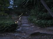 Location g�te, chambres d'hotes Les hauts de Saubevonne - Gite en zone naturelle dans le d�partement Var 83