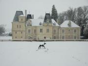 Location de particuliers � particuliers Ch�teau de Jalnay Chambres d'hotes Vienne photo 11