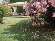 Location de particuliers � particuliers Mas de la grave piscine proche Avignon, Grand jardin avec piscine, vue sur le verger  Chambres d'hotes Vaucluse photo 6