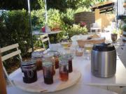 Location de particuliers � particuliers Mas de la grave piscine proche Avignon, Grand jardin avec piscine, vue sur le verger  Chambres d'hotes Vaucluse photo 9