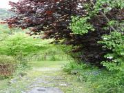 Location de particuliers � particuliers Appartement Sur les hauteurs du vieux Salins Location saisonni�re Jura photo 7