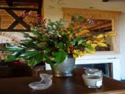 Location de particuliers � particuliers Au Grand Champ, nich�e dans un bel �crin de verdure Chambres d'hotes Tarn et Garonne photo 6