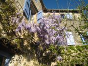 Location de particuliers � particuliers La Maison d'h�te Chez Delphine, village m�di�val fortifi� class� plus beaux villages de France Chambres d'hotes Tarn photo 6