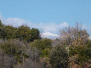 Location de particuliers � particuliers G�te avec pisc. hors sol. proche Mont Ventoux PROVENCE Location saisonni�re Vaucluse photo 8