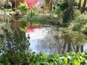 Location de particuliers � particuliers Un Vent de Fleurs au coeur du pays Bigouden Chambres d'hotes Finist�re photo 7