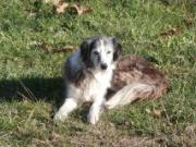 Location de particuliers � particuliers Appartement T3 100m� pays basque Location saisonni�re Pyr�n�es Atlantiques photo 6