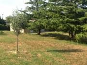 Location de particuliers � particuliers Chalet dans parc village � 8 Kms de Carcassonne Chalet Aude photo 7