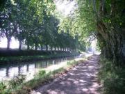 Location de particuliers � particuliers Gite de charme domaine viticole proche Mer Aux portes de NARBONNE, canal du Midi G�te Aude photo 8