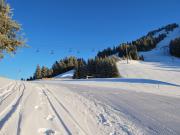Location de particuliers � particuliers Pyr�n�es:Chalet 12-14 places,pied pistes.Le Mourtis;�t�/hiver; Chalet Haute garonne photo 6
