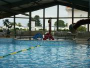 Location de particuliers � particuliers Mobil homme 8 pers camping les charmettes, taux d'ensoleillement exceptionnel Camping / Mobile-home Charente maritime photo 15