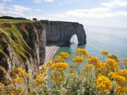 Location de particuliers � particuliers Maison de campagne village calme � 10 km de la mer Location saisonni�re Seine Maritime photo 7